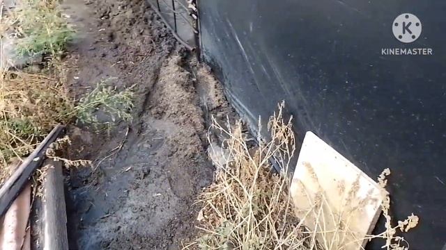 Банный день у хрюньделей. Свиноматок не выгнать из воды ??? смотреть онлайн