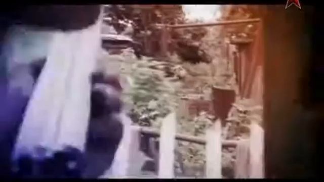 Мясной король ЛЕГЕНДЫ СОВЕТСКОГО СЫСКА