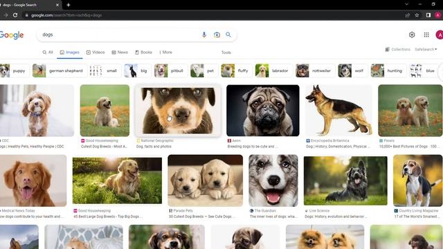 Search - CS50's Web Dev with Python and JavaScript смотреть онлайн