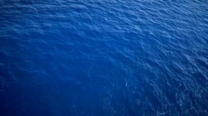 Морские Динозавры 2007 Океан Динозавры