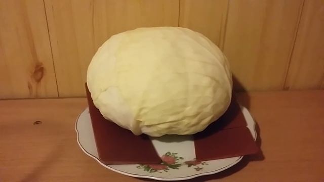 капуста и эм пластина смотреть онлайн