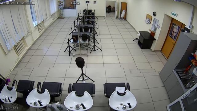 Демонстрационный экзамен по стандартам WS "Парикмахерское искусство" смотреть онлайн