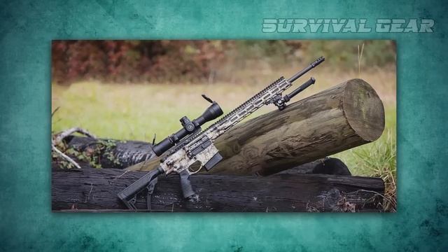 Top 10 Best .308 Rifles In The World 2023 смотреть онлайн
