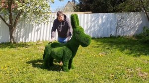 Топиари, Топиарные зеленые фигуры из искусственной травы, обзор топиарного ослика.