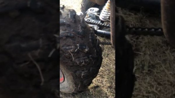 Avantis hunter 200lux