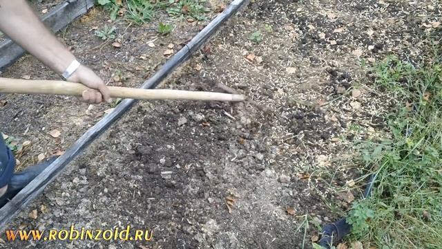 Огурцы 2016 подготовка грядки. Овёс как сидерат смотреть онлайн