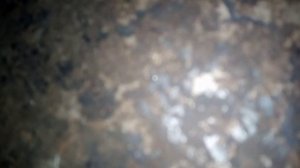 снятие поддона без снятия подрамника 1.9 дизель Рено кенго