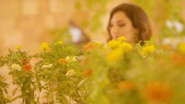 Seeta Qasemie - Yare Hawasbaz (Official Music Video) / سیتا قاسمی - یار هوس باز