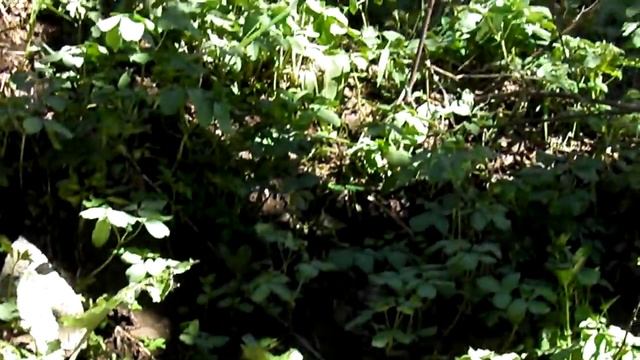 ТАДЖИКИСТАН Озера Чувозак ущелье Каратаг