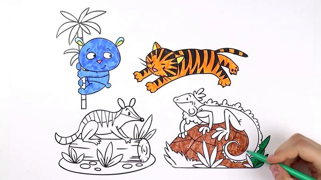 Coloring Wild Animals, Tiger, Panda, Numbat, Iguana for Kids смотреть онлайн