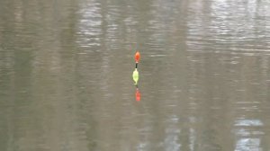 ВЕСЕННЯЯ РЫБАЛКА НА ПОПЛАВОК В МАРТЕ. Ловля плотвы,густеры,красноперки на удочку.