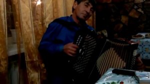 lambada accordion (Ламбада на гармошке)