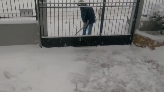 JJRC-H31 Drones смотреть онлайн