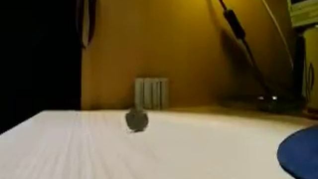 moneta 240 fps смотреть онлайн