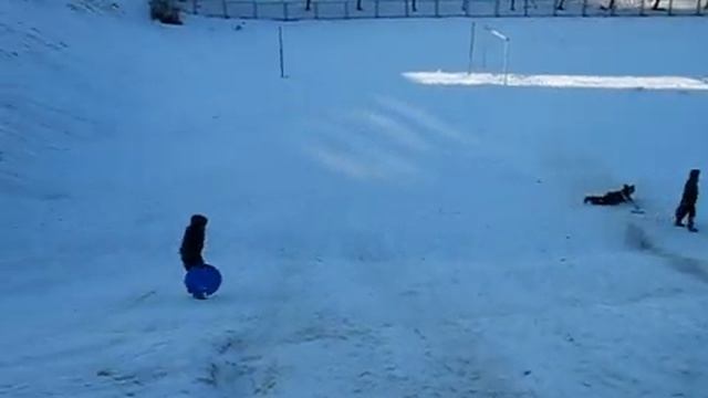 Зимние развлечения гродненских детей, 4.02.2017 смотреть онлайн