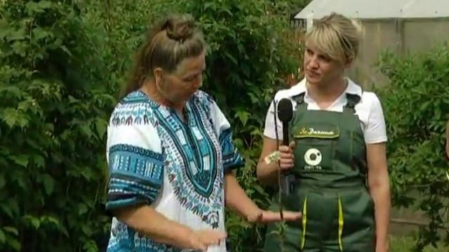 Рубрика "ЗаДачник": почему не растет яблоня? смотреть онлайн