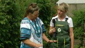 Рубрика "ЗаДачник": почему не растет яблоня?