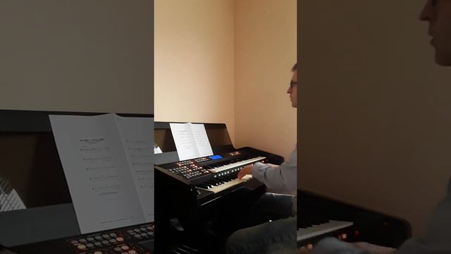 "Go away, little Girl" ( Easy Shuffle Coverversion ) Orla Ringway RS 600 EU Organ смотреть онлайн