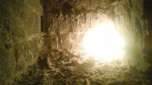 VID_20240903_201015.mp4