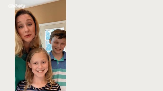 How To Groom Your Pet at Home | Chewy Vet Q&A with Dr. Katy смотреть онлайн