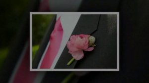 Годовщина свадьбы. Как отметить 10-ю годовщину свадьбы. Розовая свадьба.