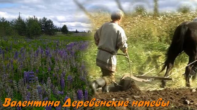 Рябиновая грусть (сл. Л. Синцовой, муз. Ю. Старцева, автор клипа - Валентина Деревенские напевы) смотреть онлайн