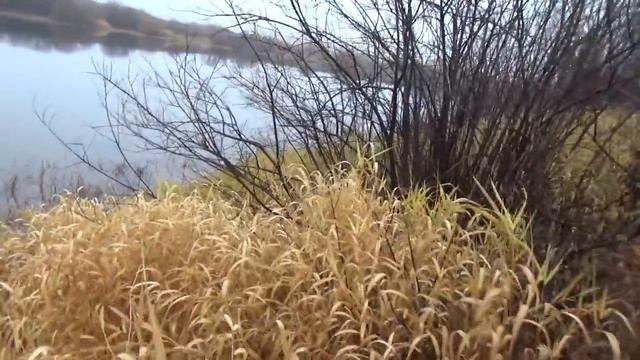 Искусство и Саморазвитие