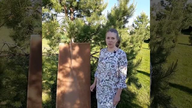 Лучшая ветрозащитная плита - Steico Universal в компании Экопланета. смотреть онлайн