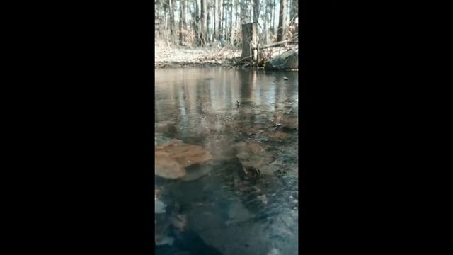 Поездка в Коростышевский карьер смотреть онлайн