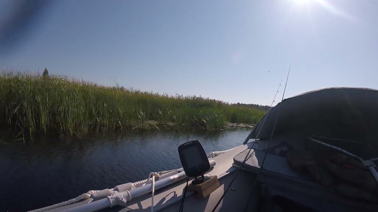 GOPR1482 смотреть онлайн