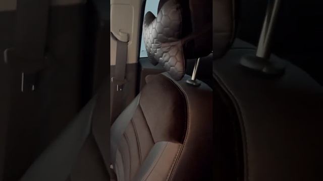Cobalt Polniy Salon Peretyajka Tarpedkasiga Koja Rulga Koja va Knopka Obshivkaga Koja Akvaprint Xro смотреть онлайн