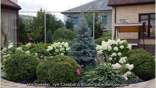 Клумба с гортензией — схема посадки кустов смотреть онлайн