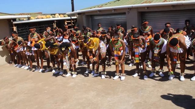 ANDISWA MSOMI UMHLONYANE
