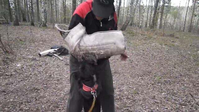 Стаффи ЗКС смотреть онлайн