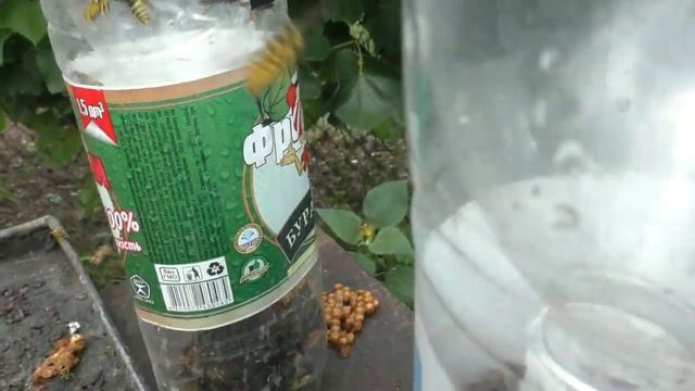 Творческий Путь к Успеху