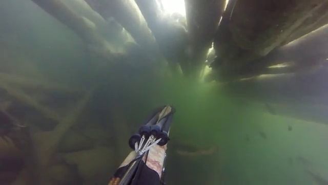 подводная охота в Братске смотреть онлайн