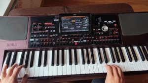 Диско стиль Корг па 1000 сочинение