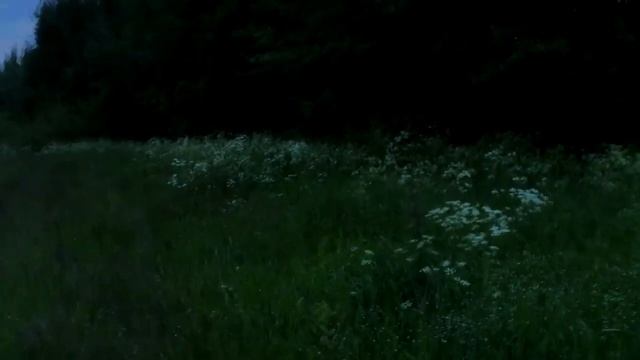 Потерянная плёнка. Трейлер (2014) смотреть онлайн