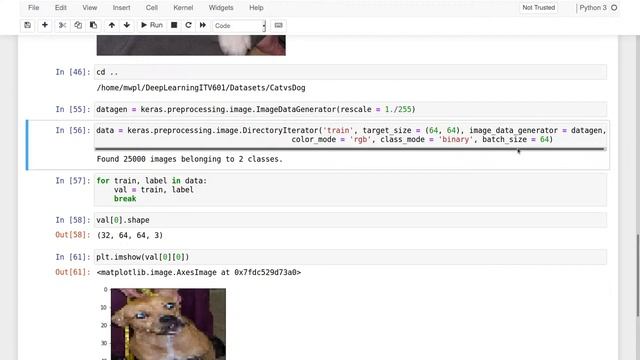 STREAM 25 : Data Augmentation and Fine Tuning in Pretrained Models смотреть онлайн