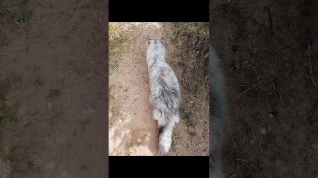 ЗЕМЛЯ-МОЯ КОРМИЛИЦА!