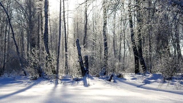 В гостях у сказки. смотреть онлайн