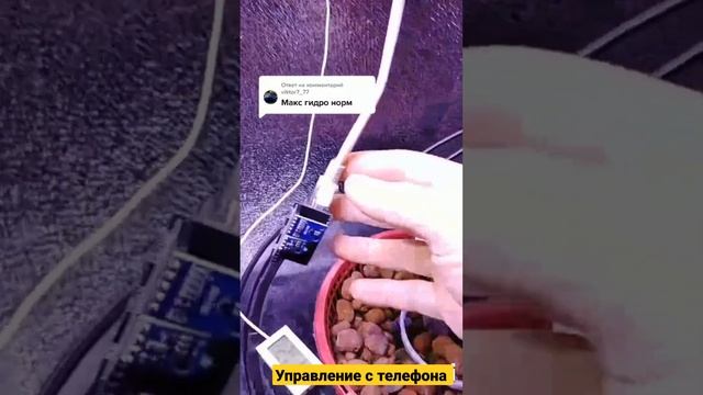 Диодный свет от Гринвич Smart led lamp смотреть онлайн