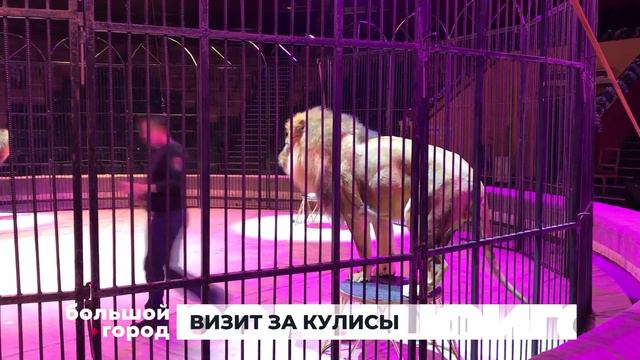 Визит за кулисы. Большой Город. 16/12/2022 смотреть онлайн