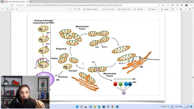 Inflamaclass #7 - O papel das mitocôndrias na prática clínica смотреть онлайн