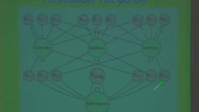 IMS Public Lecture: Genes, Disease And Genetic Diseases
