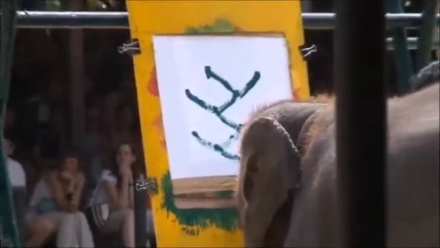 Слоны рисуют. Шоу слонов в Таиланде смотреть онлайн
