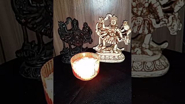 Посвящение в культ Кали. смотреть онлайн