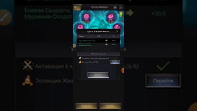 The Ants КЛЕТКИ | The Ants Undeground Kingdom