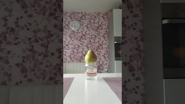 Подарок на 1 сентября смотреть онлайн