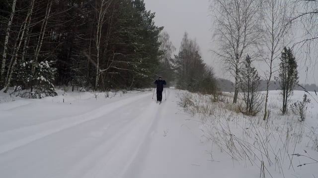 Беларусь лыжные прогулки смотреть онлайн